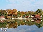 Víztükör