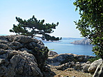 Panoráma 2
