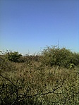 GCPAVI_20111018125104.jpg