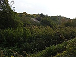 A puszta ma