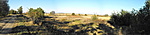 Panoráma