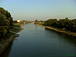 Zagyva torkolata