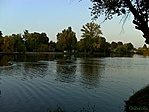 tavacska