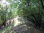 Végig a gerincen