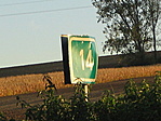 14.