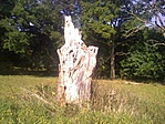 A természet szobra