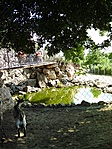 Állatkert