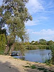 Horgásztó