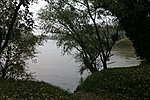 GCORT_20111029134227.jpg