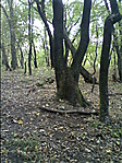 A doboz rejteke.