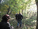 visszafelé