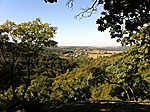 Panoráma