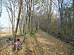 Ösvényen