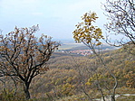 Kilátás