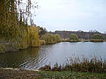 A majki tó