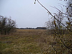Szikesek világa