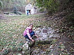 a forrás