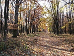 Mórocz-tető még 800 méter.
