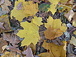 ŐŐŐŐSZ