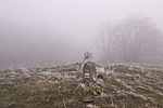 Ennyi látszott a hegytetőn