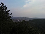 GCVVKK_2011116154116.jpg