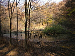 Mély-mocsár