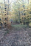 GCvbbk_2011116110759.jpg