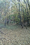 GCvbbk_2011116115124.jpg