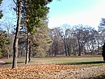 a katély mögötti park