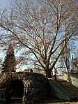Kont-fa