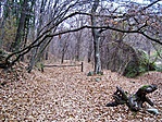 Odafelé