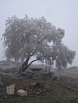 Pihenő a vár közepén
