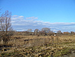Mocsár