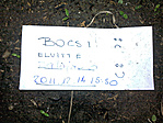 A bocsicetli