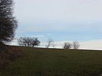 Domboldal