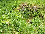 Elhagyatottan