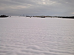 A környék télen