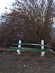 Elárvult pad