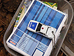 travel bug in