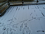 nyomok