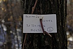 Bocsicetli