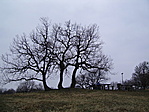 Hegytetőn