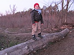 Dani a jelszó javasló