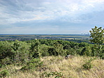 Panoráma