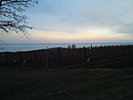 és a szőlőn túl a Balaton