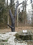 GCSLAR_20120226105933.jpg