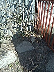 GCSARD_20120317113253.jpg