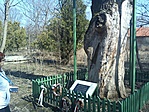 GCgst1_20120317124544.jpg