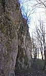 GCVVID_20120315095849.jpg