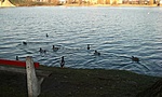 GCRAC_20120315170402.jpg